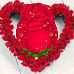 pic for rose fairy